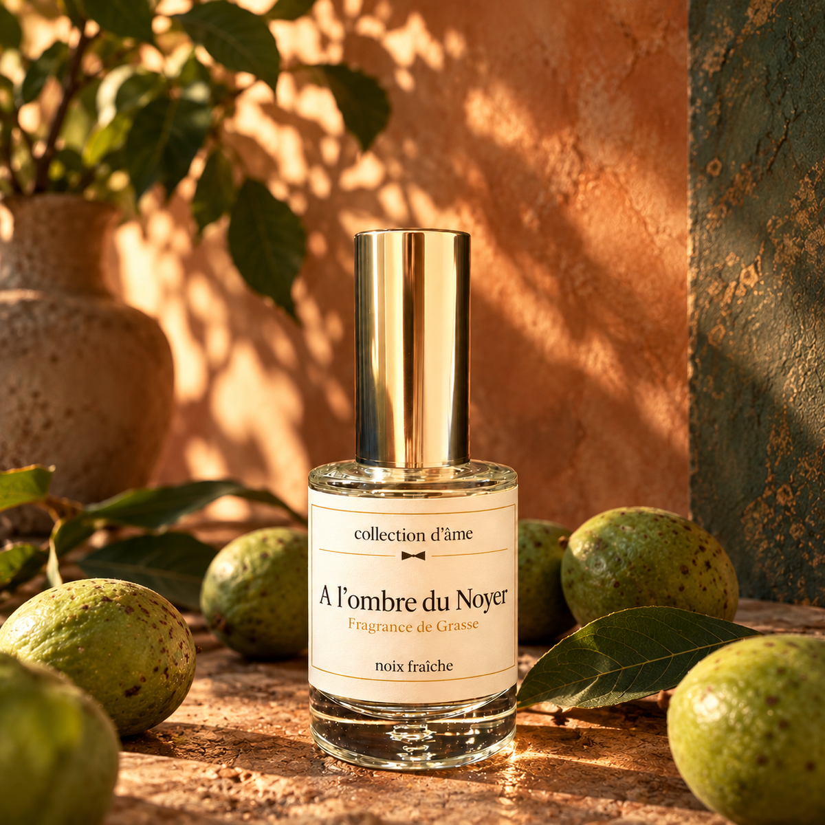 À l’ombre du Noyer — noix fraîche — collection d’âme